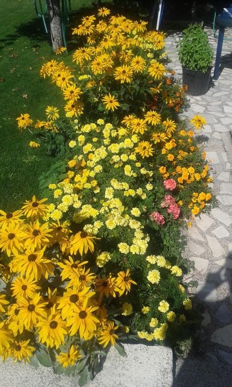 Villa Mimi Pestani Bagian luar foto